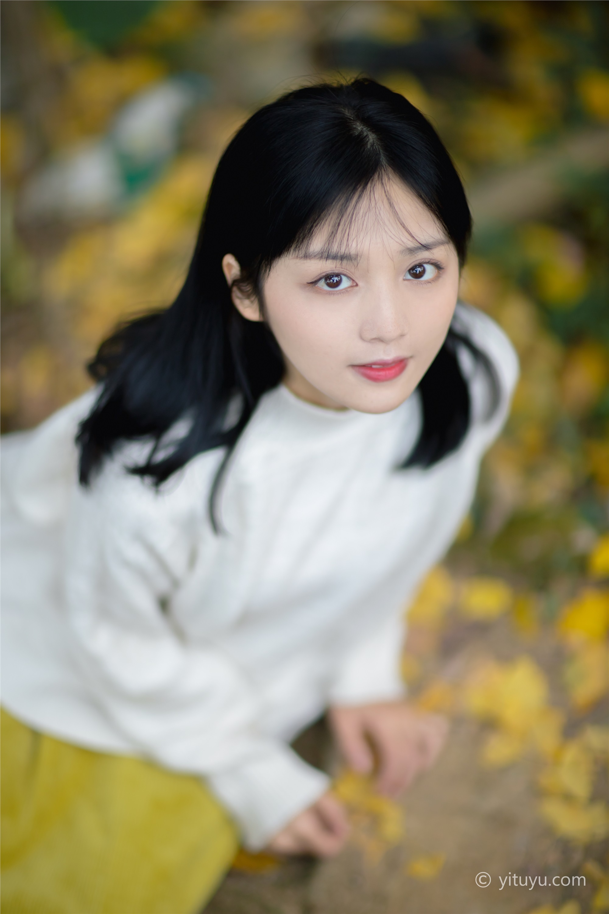 YITUYU艺图语 2021.08.14 银杏之恋 雨文